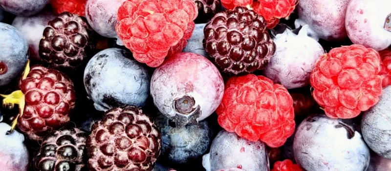 sneha-cecil-qt6ojt3cace-unsplash sneha-cecil-qt6ojt3cace-unsplash